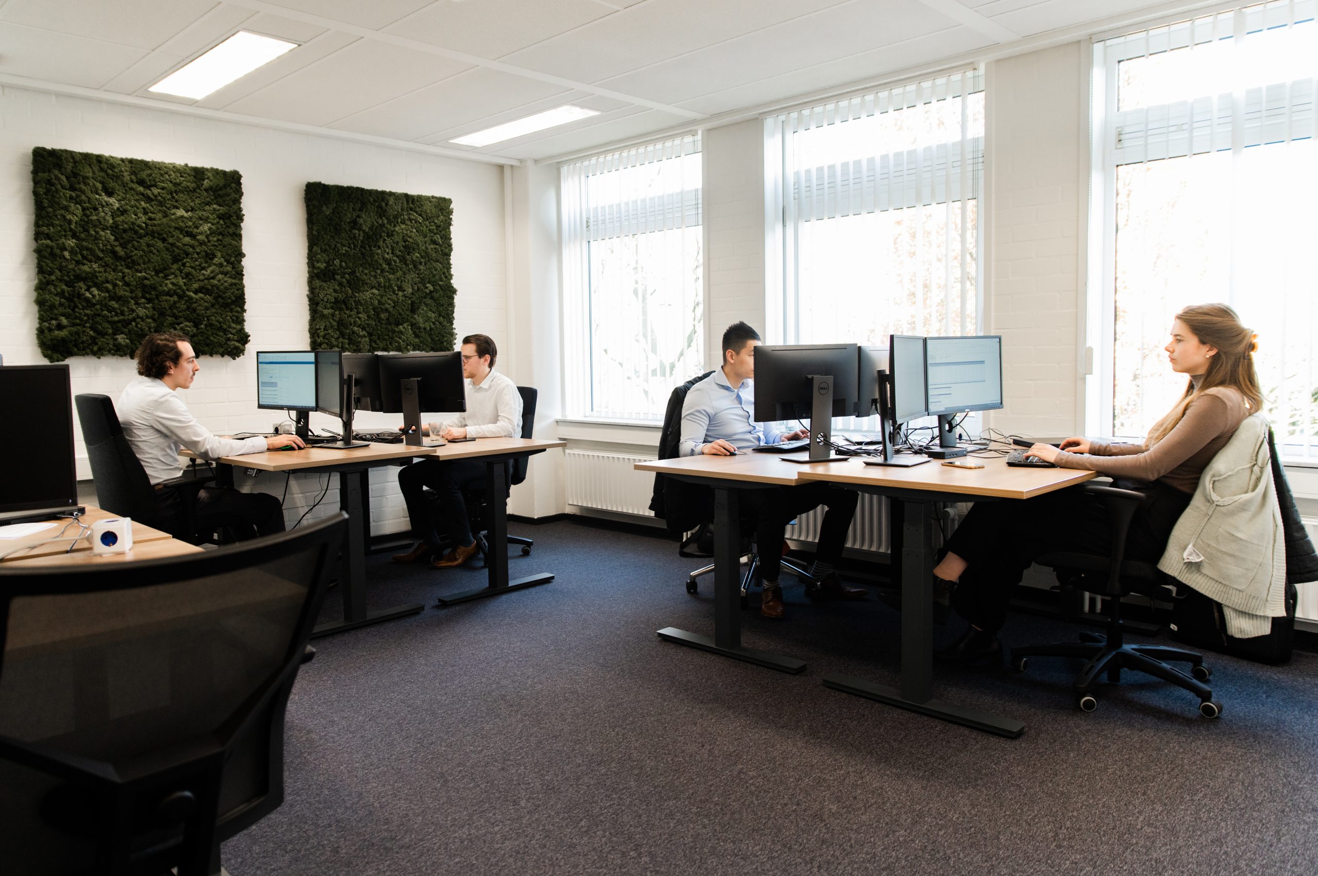 Steens & Partners Accountantscontrole